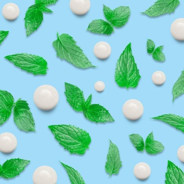 Mentos Gum Pure Fresh Spearmint 8 Piece roll (Pack of 24 Rolls) - Image 4