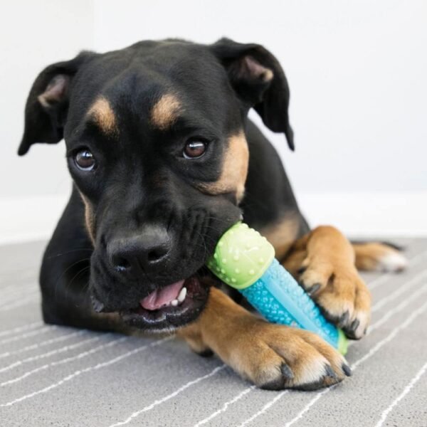 KONG - CoreStrength Bone - Long Lasting Dog Dental and Chew Toy - For Medium/Large Dogs - Image 4