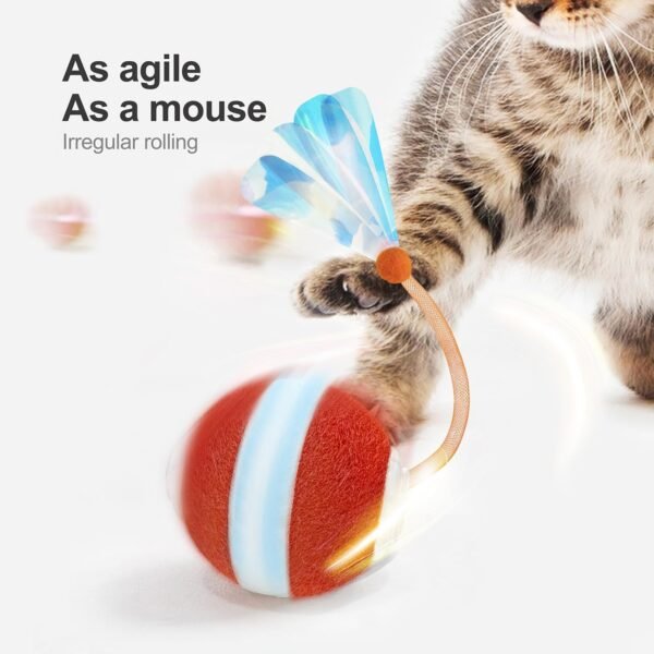 Petiepaw Cat Toys Ball,Interactive Cat Toys for Indoor Cats - Image 3