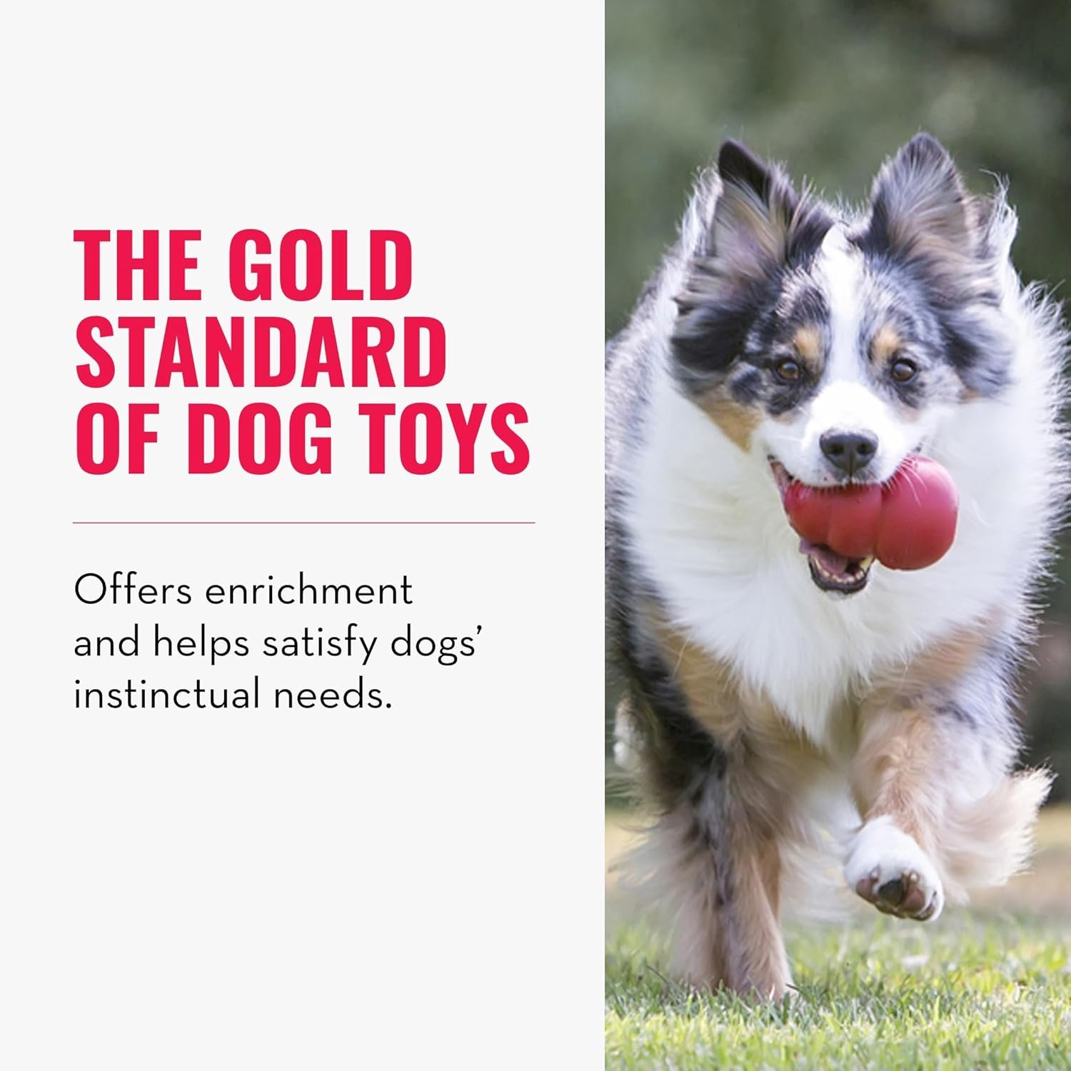 KONG Classic Dog Toy, Large - Image 6