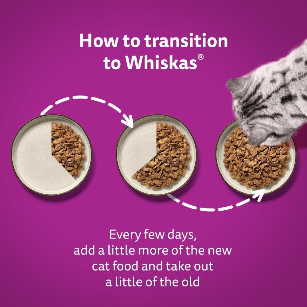 Whiskas 1+ Adult Poultry Selection in Jelly 40 Pouches, Adult Wet Cat Food, Megapack (40 x 85 g) - Image 5