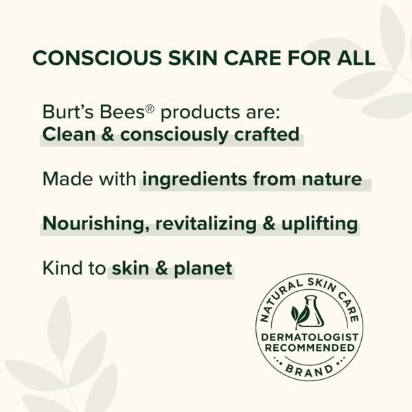 Burt's Bees Essential Gift Set, Lip Balm, Hand Salve, Body Lotion - Image 5
