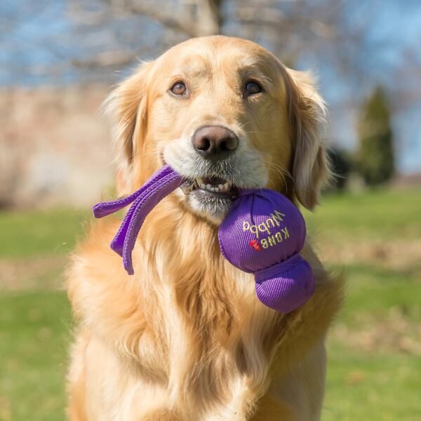 KONG Wubba Dog Toy - Assorted Colours, Large - Image 3