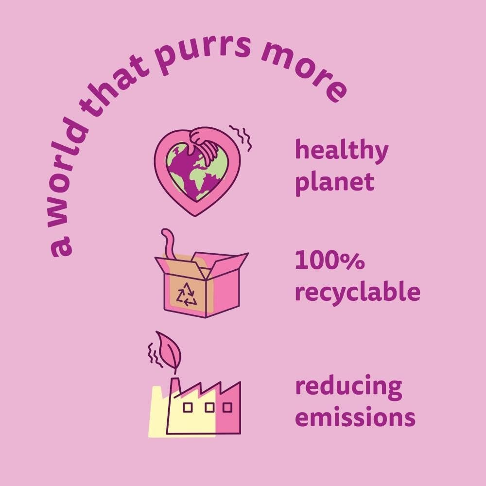 Whiskas 1+ Adult Poultry Selection in Jelly 40 Pouches, Adult Wet Cat Food, Megapack (40 x 85 g) - Image 6